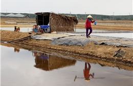 Chương trình giảm nghèo bền vững theo đo lường nghèo đa chiều ở TP Hồ Chí Minh