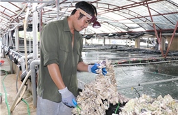 Người dân Ninh Bình giảm nghèo nhờ tín dụng chính sách