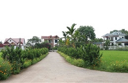 Áp dụng chuẩn nghèo đa chiều mới để ‘không để ai ở lại phía sau’