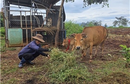 Thông qua chủ trương đầu tư Chương trình mục tiêu quốc gia