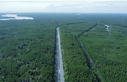 Từ giảm nghèo đến tăng trưởng xanh