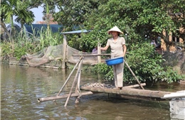 Giảm lãi suất cho vay các chương trình tín dụng chính sách