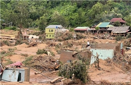 Hỗ trợ hộ nghèo khắc phục hậu quả do thiên tai gây ra tại Nghệ An