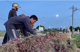 Diện mạo mới cho vùng nông thôn bãi ngang ven biển, miền núi