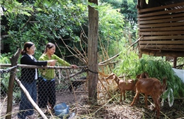 Tỷ lệ hộ nghèo còn khoảng 1% vào cuối năm 2025