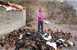 Mục tiêu giảm tỷ lệ hộ nghèo theo chuẩn nghèo đa chiều mới từ 1-1,5% năm 2026