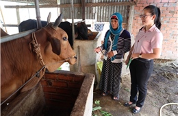 Bộ Nông nghiệp và Môi trường thực hiện công tác quản lý Nhà nước về giảm nghèo