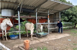 Lạng Sơn tập trung giảm nghèo, nâng cao đời sống người dân