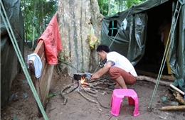 Trao tặng 10 tấn gạo cho các hộ nghèo, khó khăn tại xã biên giới Nhôn Mai