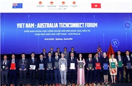Vietnam Airlines hợp tác với RMIT và Trip.com phát triển công nghệ, mở rộng thị trường
