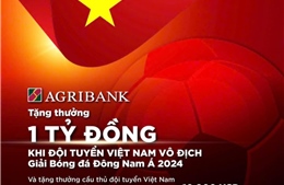 Agribank sẽ trao thưởng 1 tỷ đồng khi Đội tuyển Nam Quốc gia Việt Nam vô địch Giải Bóng đá Đông Nam Á 2024