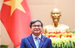 Ông Trương Việt Dũng được bầu làm Phó Chủ tịch UBND TP Hà Nội