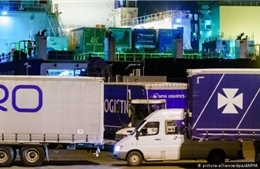 Hà Lan phát hiện 25 người di cư trong container