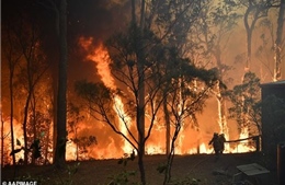 Cháy rừng lan rộng tại Australia