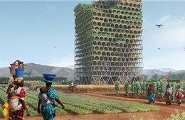 Nông trại chọc trời có thể nuôi sống cả một thị trấn ở châu Phi