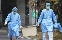 Nhật Bản xác nhận trường hợp nhiễm viêm phổi lạ