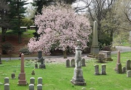 Nhiều người New York tìm đến nghĩa trang để đi dạo, thư giãn trong mùa dịch 