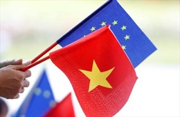 Châu Âu đánh giá cao việc Việt Nam phê chuẩn EVFTA