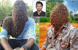 Người đàn ông lập kỷ lục thế giới khi để hàng chục nghìn con ong bám trên mặt 