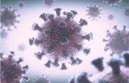 Virus SARS-CoV-2 lây nhiễm qua không khí