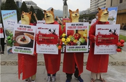 Tổ chức đám tang giả để phản đối &#39;ngày ăn thịt chó&#39; tại Hàn Quốc