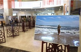 Hình ảnh biển đảo Việt Nam gây ấn tượng với người dân Nga