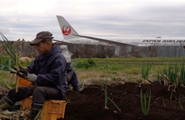 Lão nông sống giữa sân bay lớn thứ hai Nhật Bản