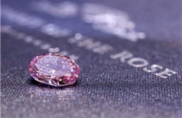 Đấu giá viên kim cương hồng tím siêu quý hiếm