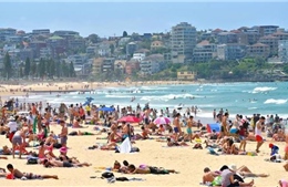 Australia đang trải qua những ngày nóng nhất trong 80 năm