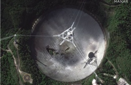 Sập kính viễn vọng khổng lồ tại Puerto Rico