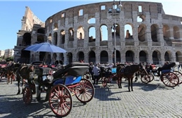 Thủ đô Italy cấm xe ngựa kéo chở khách du lịch trên đường phố