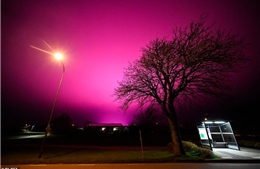 Bầu trời đêm chuyển màu tím huyền bí tại Thụy Điển
