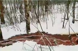 Bí ẩn &#39;dòng sông máu&#39; giữa rừng tuyết trắng tại Nga