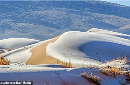 Tuyết phủ trắng vùng sa mạc nóng nhất Trái Đất Sahara