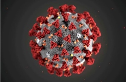 Séc, Thụy Sĩ thử nghiệm kháng thể chống các biến thể của SARS-CoV-2