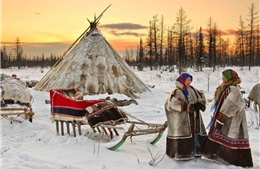 Cuộc sống của người du mục ở cực Bắc nước Nga