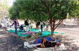 Sợ đến viện, người Ấn Độ tới trang trại cam nằm gốc cây để chữa COVID-19