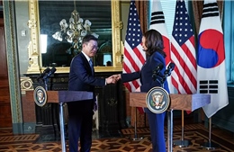Phó Tổng thống Mỹ bị chỉ trích vì lau tay vào áo sau khi bắt tay Tổng thống Hàn Quốc