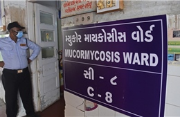 Bệnh nhân COVID-19 Ấn Độ tử vong vì cùng lúc nhiễm cả 3 loại &#39;nấm màu&#39; 