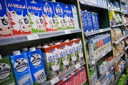 Trung Quốc đối mặt &#39;cơn khát&#39; sữa trước thách thức không có đủ bò