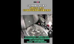 Người đàn ông Trung Quốc bị suy đa tạng sau khi lái chiếc xe mốc meo