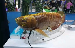 Trung Quốc tiết lộ thiết bị lặn không người lái dưới nước giống hệt cá 
