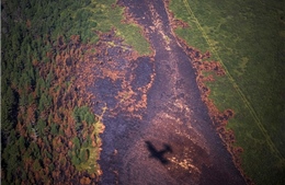 Cháy rừng Siberia lớn hơn nhiều lần các đám cháy rừng toàn cầu cộng lại