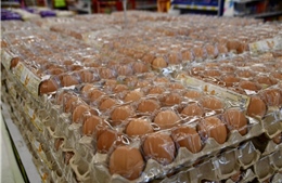 Thái Lan cảnh báo phạt tù người tích trữ và tăng giá trứng gà