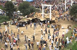 Bất chấp COVID-19, hàng trăm người vẫn dự lễ hội ném đá vào nhau tại Ấn Độ