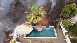 Video dung nham núi lửa ‘nuốt chửng’ hồ bơi và nhiều ngôi nhà ở Tây Ban Nha