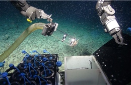Siêu vi khuẩn dưới biển sâu – ‘Chìa khóa’ đối phó với các đại dịch tương lai