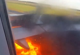 Video động cơ máy bay Mỹ cháy ngùn ngụt vì đâm phải chim 