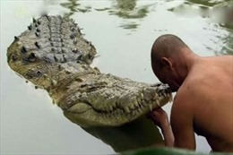Con cá sấu ăn chay sống trong ngôi đền Ấn Độ suốt 7 thập kỷ