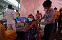 Hàng triệu người Ấn Độ rơi vào bế tắc vì vaccine nội địa chưa được công nhận